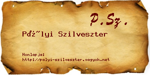 Pályi Szilveszter névjegykártya