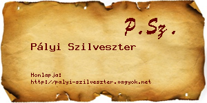 Pályi Szilveszter névjegykártya